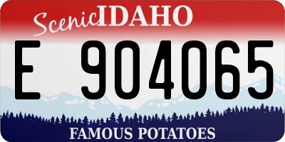 ID license plate E904065