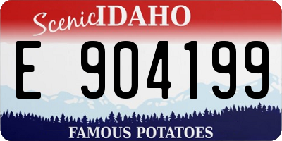 ID license plate E904199