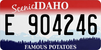 ID license plate E904246