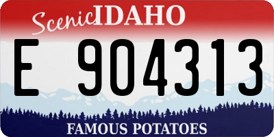 ID license plate E904313