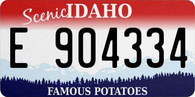 ID license plate E904334
