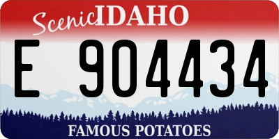 ID license plate E904434