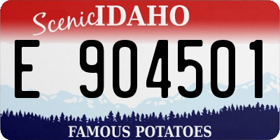 ID license plate E904501