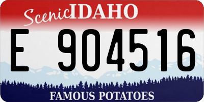 ID license plate E904516