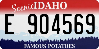 ID license plate E904569