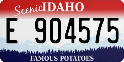 ID license plate E904575