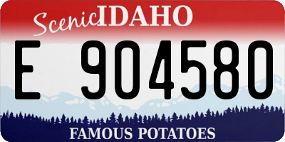 ID license plate E904580