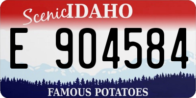ID license plate E904584