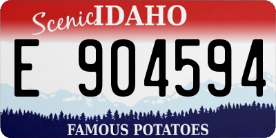 ID license plate E904594