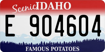ID license plate E904604