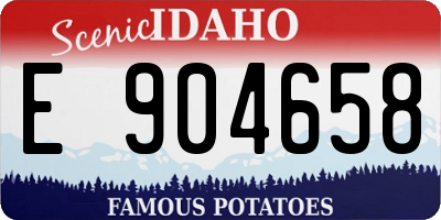 ID license plate E904658