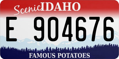 ID license plate E904676