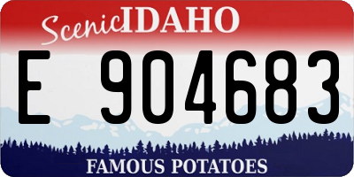 ID license plate E904683