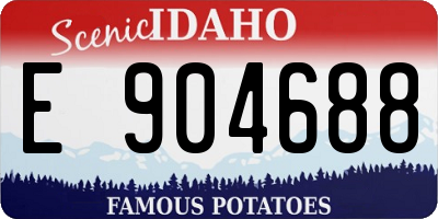 ID license plate E904688