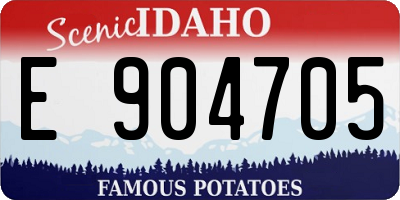 ID license plate E904705