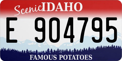 ID license plate E904795
