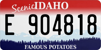 ID license plate E904818