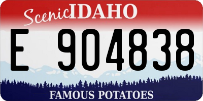 ID license plate E904838