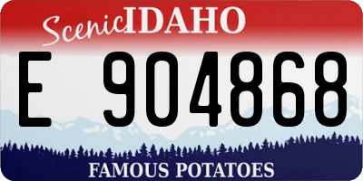 ID license plate E904868