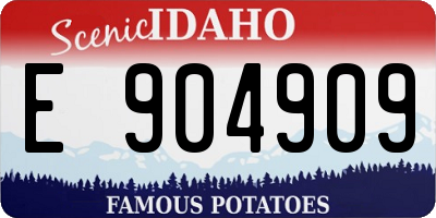 ID license plate E904909