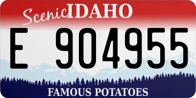 ID license plate E904955