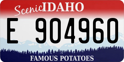 ID license plate E904960
