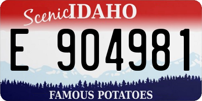 ID license plate E904981