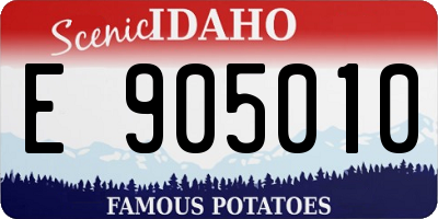 ID license plate E905010