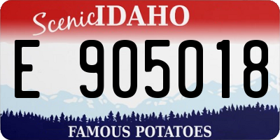 ID license plate E905018