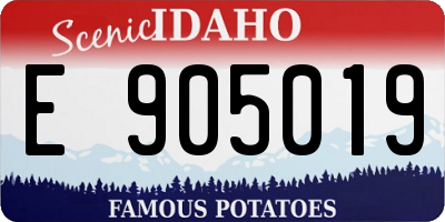 ID license plate E905019