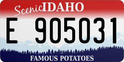 ID license plate E905031