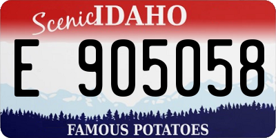 ID license plate E905058