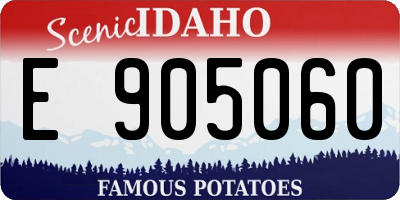 ID license plate E905060
