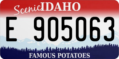 ID license plate E905063