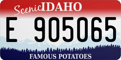 ID license plate E905065