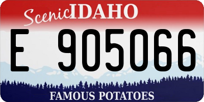 ID license plate E905066