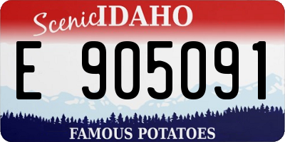 ID license plate E905091