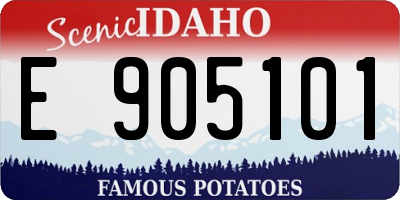 ID license plate E905101