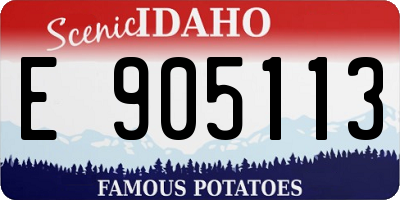 ID license plate E905113