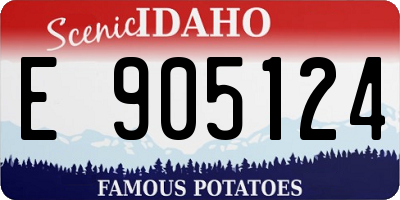 ID license plate E905124
