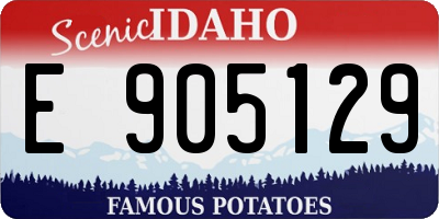 ID license plate E905129