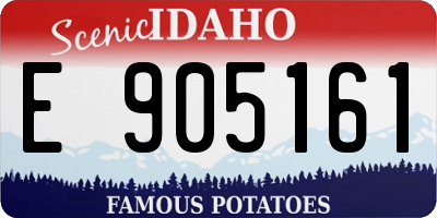 ID license plate E905161