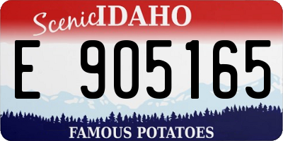 ID license plate E905165