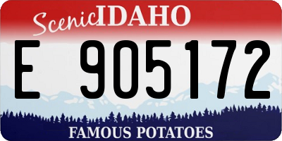 ID license plate E905172
