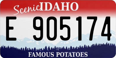 ID license plate E905174