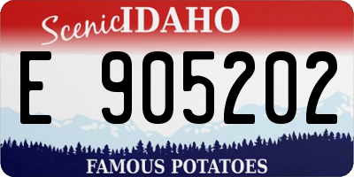 ID license plate E905202