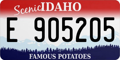 ID license plate E905205