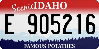 ID license plate E905216