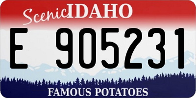 ID license plate E905231
