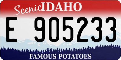ID license plate E905233